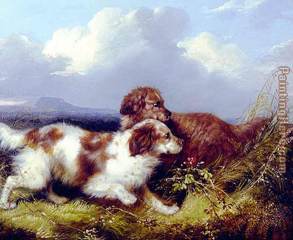 Spaniels Flushing Game painting - George Armfield Spaniels Flushing Game art painting